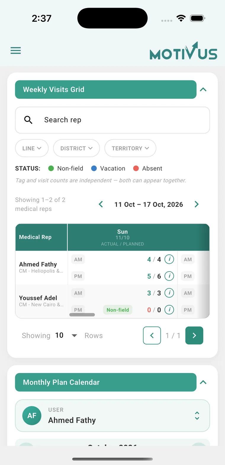 Team weekly visits grid on a phone